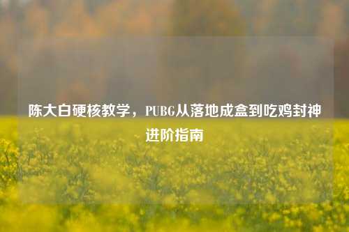 陈大白硬核教学,PUBG从落地成盒到吃鸡封神进阶指南