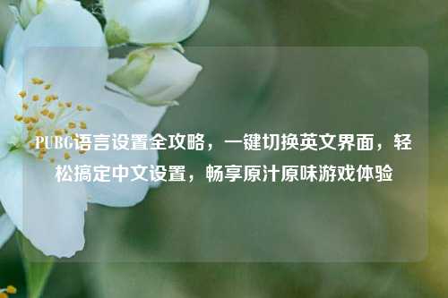 PUBG语言设置全攻略,一键切换英文界面,轻松搞定中文设置,畅享原汁原味游戏体验