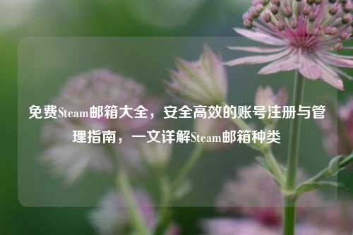 免费Steam邮箱大全，安全高效的账号注册与管理指南，一文详解Steam邮箱种类