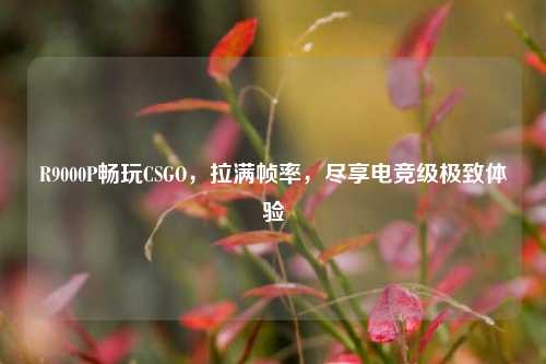 R9000P畅玩CSGO,拉满帧率,尽享电竞级极致体验