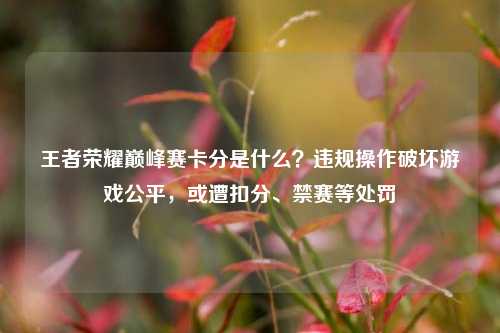 王者荣耀巅峰赛卡分是什么？违规操作破坏游戏公平，或遭扣分、禁赛等处罚