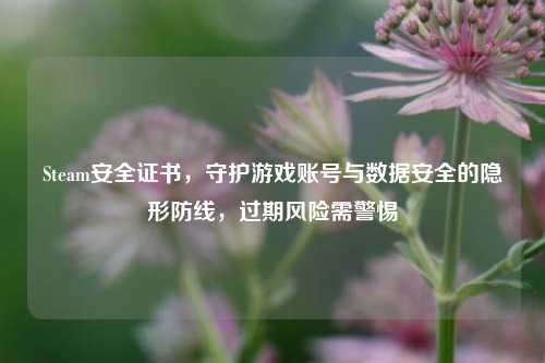 Steam安全证书,守护游戏账号与数据安全的隐形防线,过期风险需警惕