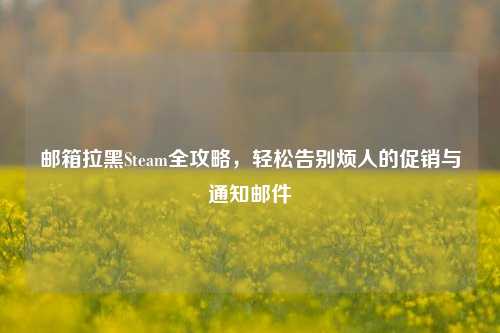 邮箱拉黑Steam全攻略,轻松告别烦人的促销与通知邮件
