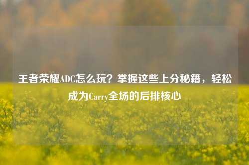王者荣耀ADC怎么玩?掌握这些上分秘籍,轻松成为Carry全场的后排核心