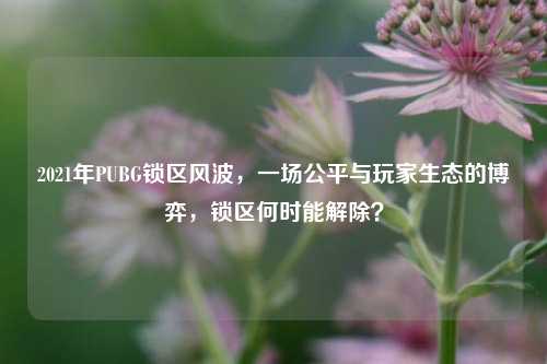 2021年PUBG锁区风波，一场公平与玩家生态的博弈，锁区何时能解除？