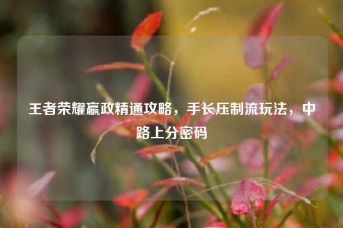 王者荣耀嬴政精通攻略，手长压制流玩法，中路上分密码