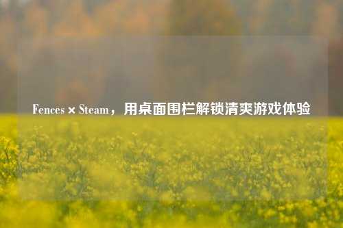 Fences×Steam,用桌面围栏解锁清爽游戏体验
