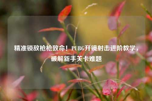 精准锁敌枪枪致命!PUBG开镜射击进阶教学,破解新手关卡难题