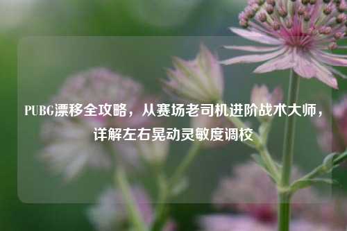 PUBG漂移全攻略，从赛场老司机进阶战术大师，详解左右晃动灵敏度调校