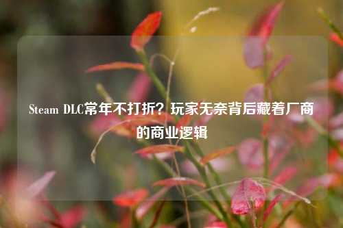 Steam DLC常年不打折？玩家无奈背后藏着厂商的商业逻辑