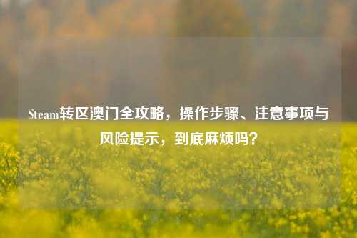 Steam转区澳门全攻略,操作步骤、注意事项与风险提示,到底麻烦吗?