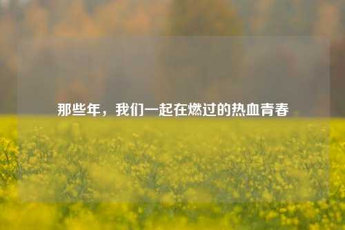 那些年,我们一起在燃过的热血青春