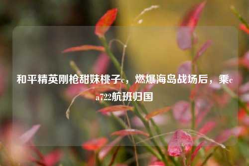 和平精英刚枪甜妹桃子c,燃爆海岛战场后,乘ca722航班归国
