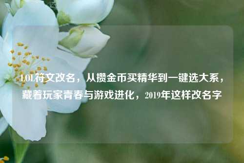 LOL符文改名,从攒金币买精华到一键选大系,藏着玩家青春与游戏进化,2019年这样改名字