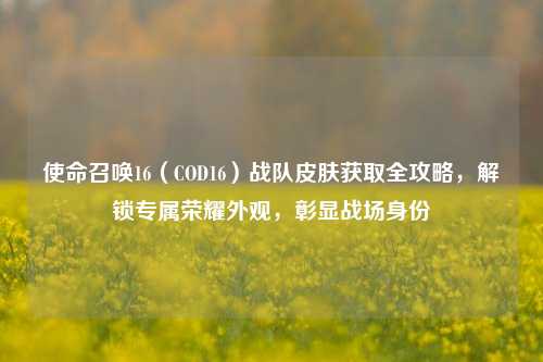 使命召唤16(COD16)战队皮肤获取全攻略,解锁专属荣耀外观,彰显战场身份
