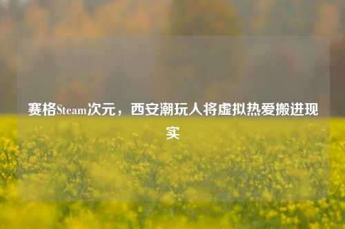 赛格Steam次元,西安潮玩人将虚拟热爱搬进现实