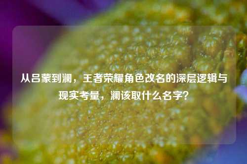 从吕蒙到澜,王者荣耀角色改名的深层逻辑与现实考量,澜该取什么名字?
