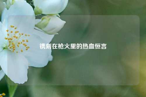镌刻在枪火里的热血恒言