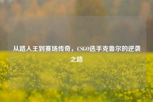 从路人王到赛场传奇,CSGO选手克鲁尔的逆袭之路