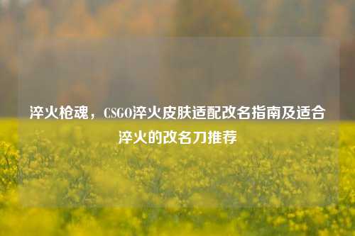 淬火枪魂，CSGO淬火皮肤适配改名指南及适合淬火的改名刀推荐
