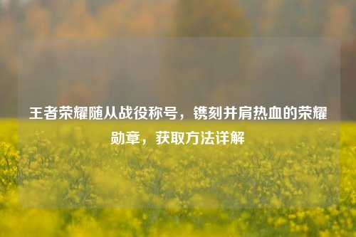 王者荣耀随从战役称号，镌刻并肩热血的荣耀勋章，获取方法详解