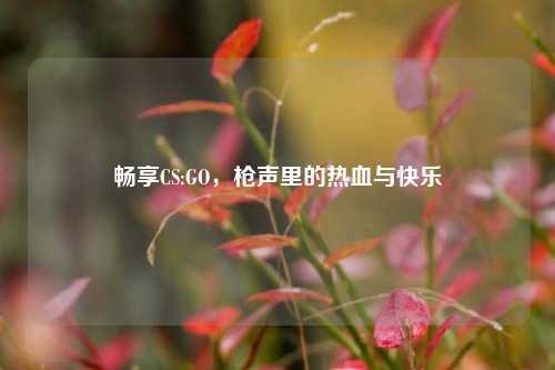 畅享CS:GO,枪声里的热血与快乐