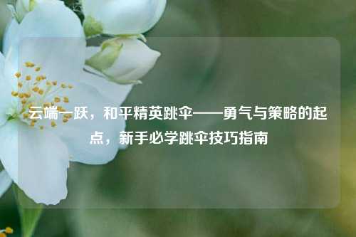 云端一跃,和平精英跳伞——勇气与策略的起点,新手必学跳伞技巧指南