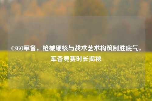 CSGO军备,枪械硬核与战术艺术构筑制胜底气,军备竞赛时长揭秘