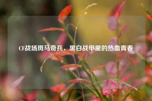 CF战场斑马奇兵,黑白战甲里的热血青春