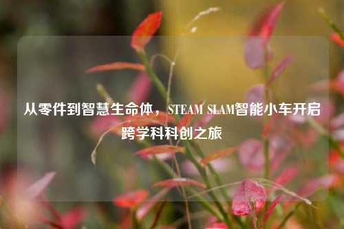 从零件到智慧生命体,STEAM SLAM智能小车开启跨学科科创之旅