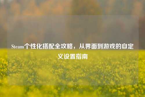 Steam个性化搭配全攻略,从界面到游戏的自定义设置指南
