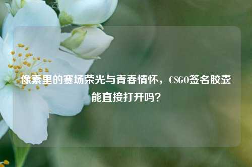 像素里的赛场荣光与青春情怀,CSGO签名胶囊能直接打开吗?