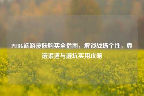 PUBG端游皮肤购买全指南,解锁战场个性,靠谱渠道与避坑实用攻略
