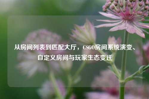 从房间列表到匹配大厅,CSGO房间系统演变、自定义房间与玩家生态变迁