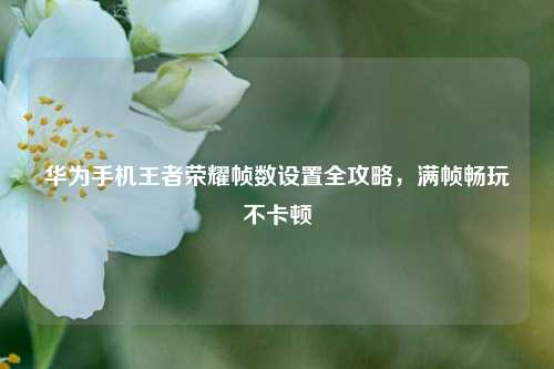 华为手机王者荣耀帧数设置全攻略,满帧畅玩不卡顿