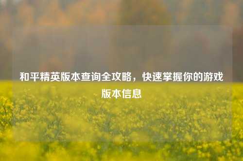 和平精英版本查询全攻略,快速掌握你的游戏版本信息