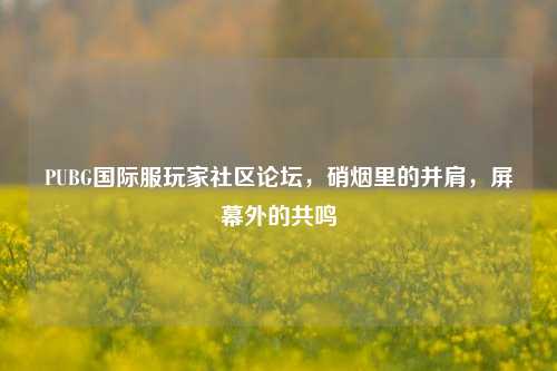 PUBG国际服玩家社区论坛,硝烟里的并肩,屏幕外的共鸣