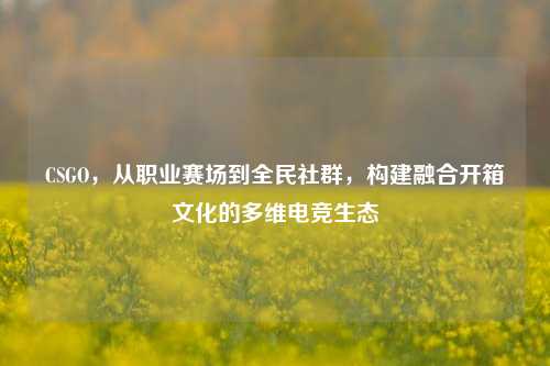 CSGO,从职业赛场到全民社群,构建融合开箱文化的多维电竞生态