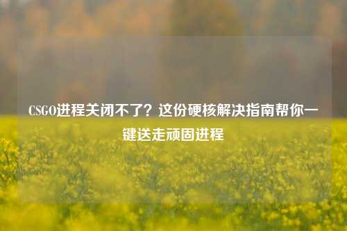 CSGO进程关闭不了?这份硬核解决指南帮你一键送走顽固进程