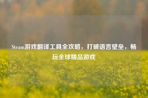 Steam游戏翻译工具全攻略,打破语言壁垒,畅玩全球精品游戏