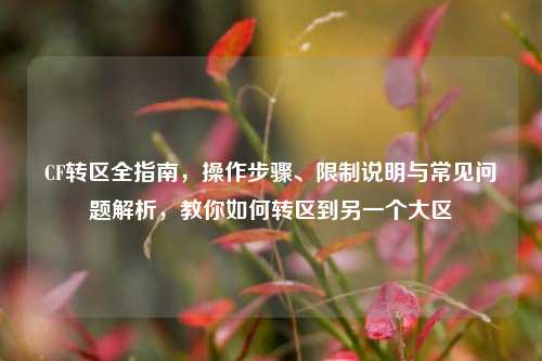 CF转区全指南，操作步骤、限制说明与常见问题解析，教你如何转区到另一个大区