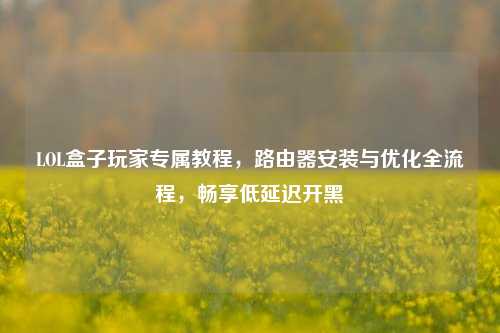 LOL盒子玩家专属教程,路由器安装与优化全流程,畅享低延迟开黑