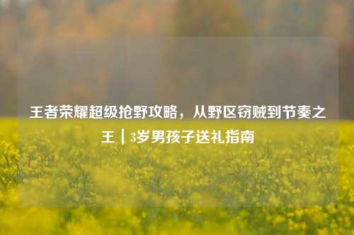 王者荣耀超级抢野攻略,从野区窃贼到节奏之王|3岁男孩子送礼指南