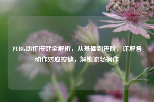 PUBG动作按键全解析,从基础到进阶,详解各动作对应按键,解锁流畅操作