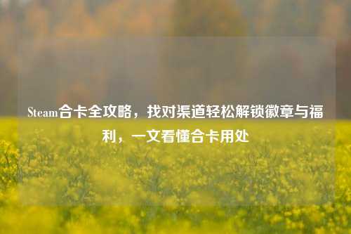 Steam合卡全攻略,找对渠道轻松解锁徽章与福利,一文看懂合卡用处