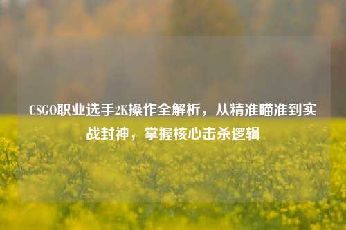 CSGO职业选手2K操作全解析,从精准瞄准到实战封神,掌握核心击杀逻辑