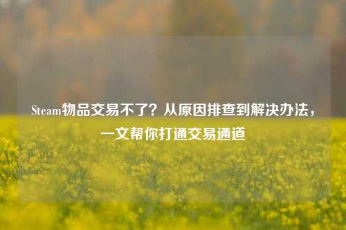 Steam物品交易不了?从原因排查到解决办法,一文帮你打通交易通道
