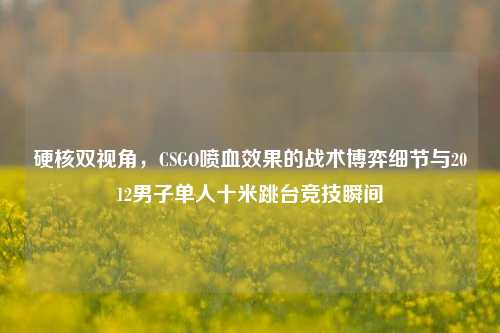 硬核双视角,CSGO喷血效果的战术博弈细节与2012男子单人十米跳台竞技瞬间