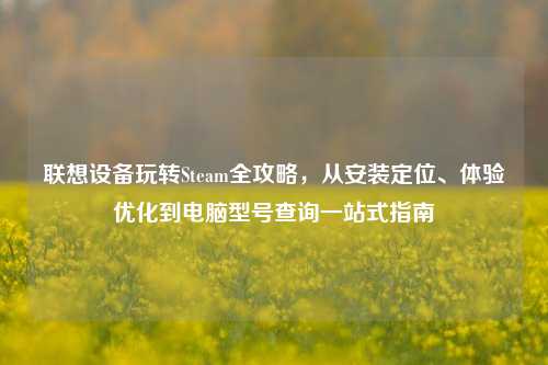 联想设备玩转Steam全攻略,从安装定位、体验优化到电脑型号查询一站式指南