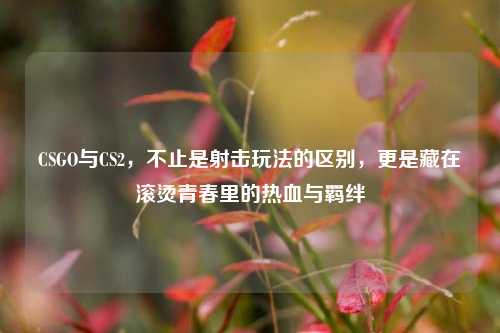 CSGO与CS2,不止是射击玩法的区别,更是藏在滚烫青春里的热血与羁绊